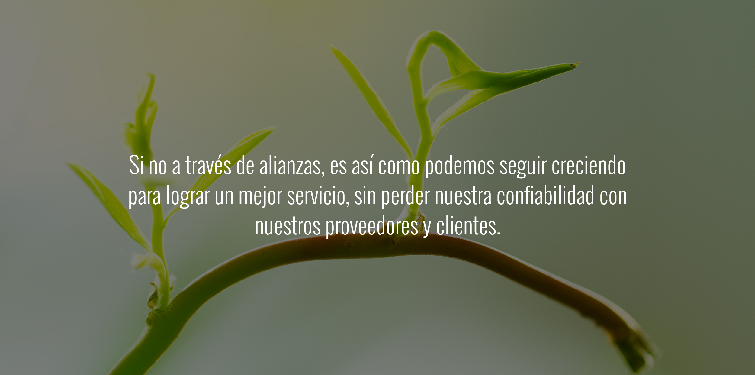 crecer